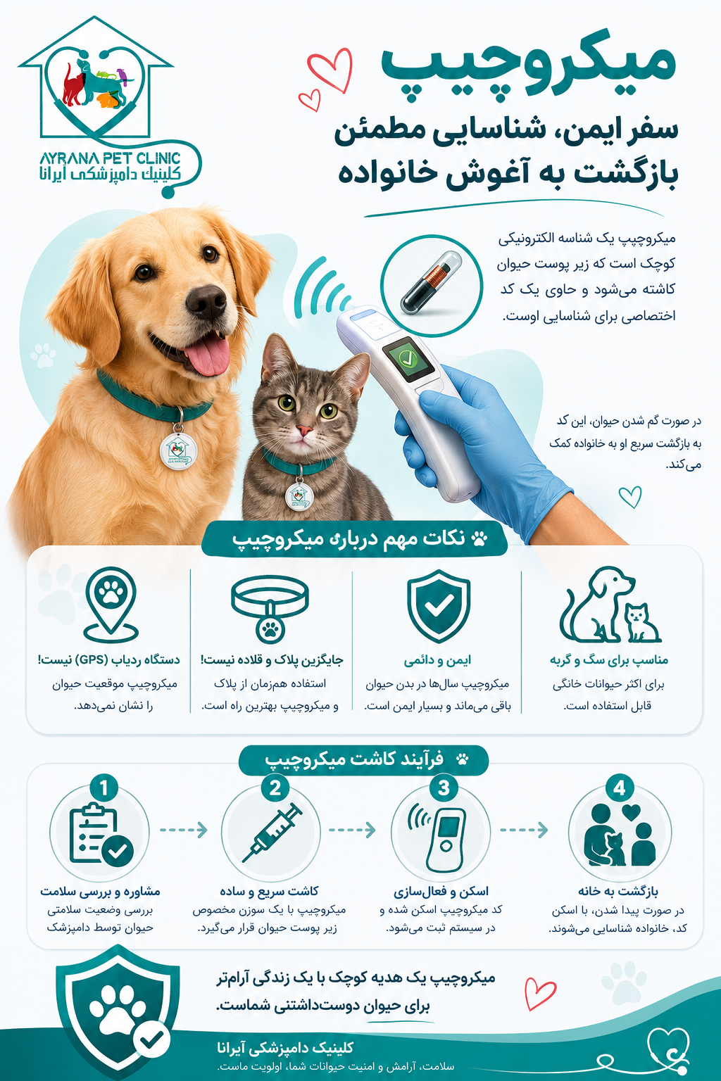 کاشت میکروچیپ سگ و گربه