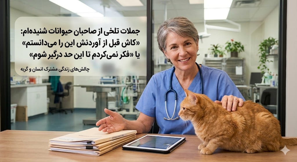 اطلاعاتی که قبل به سرپرستی گرفتن گربه باید بدانید