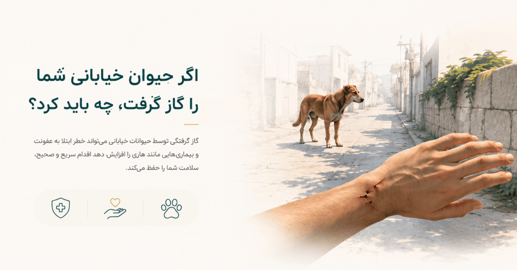 گاز گرفتن حیوان خیابانی و اقدامات اولیه